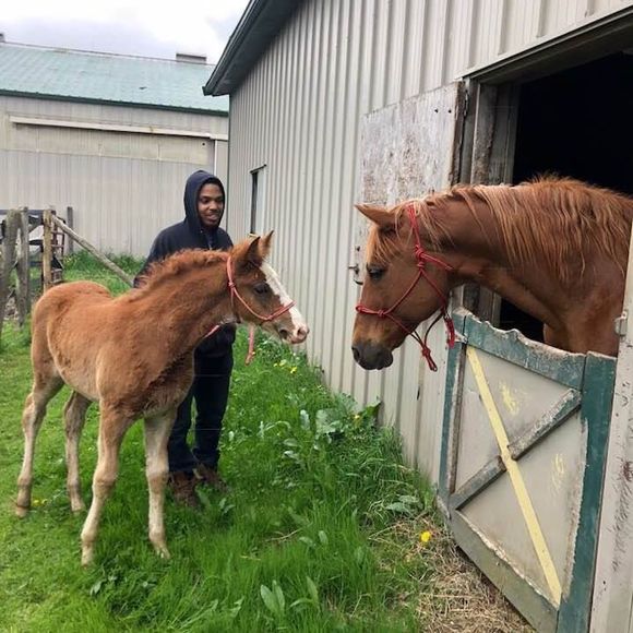 Meet your Posher, Devin - Picture 1 of 1